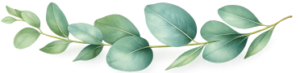 image00